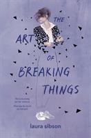 The_art_of_breaking_things